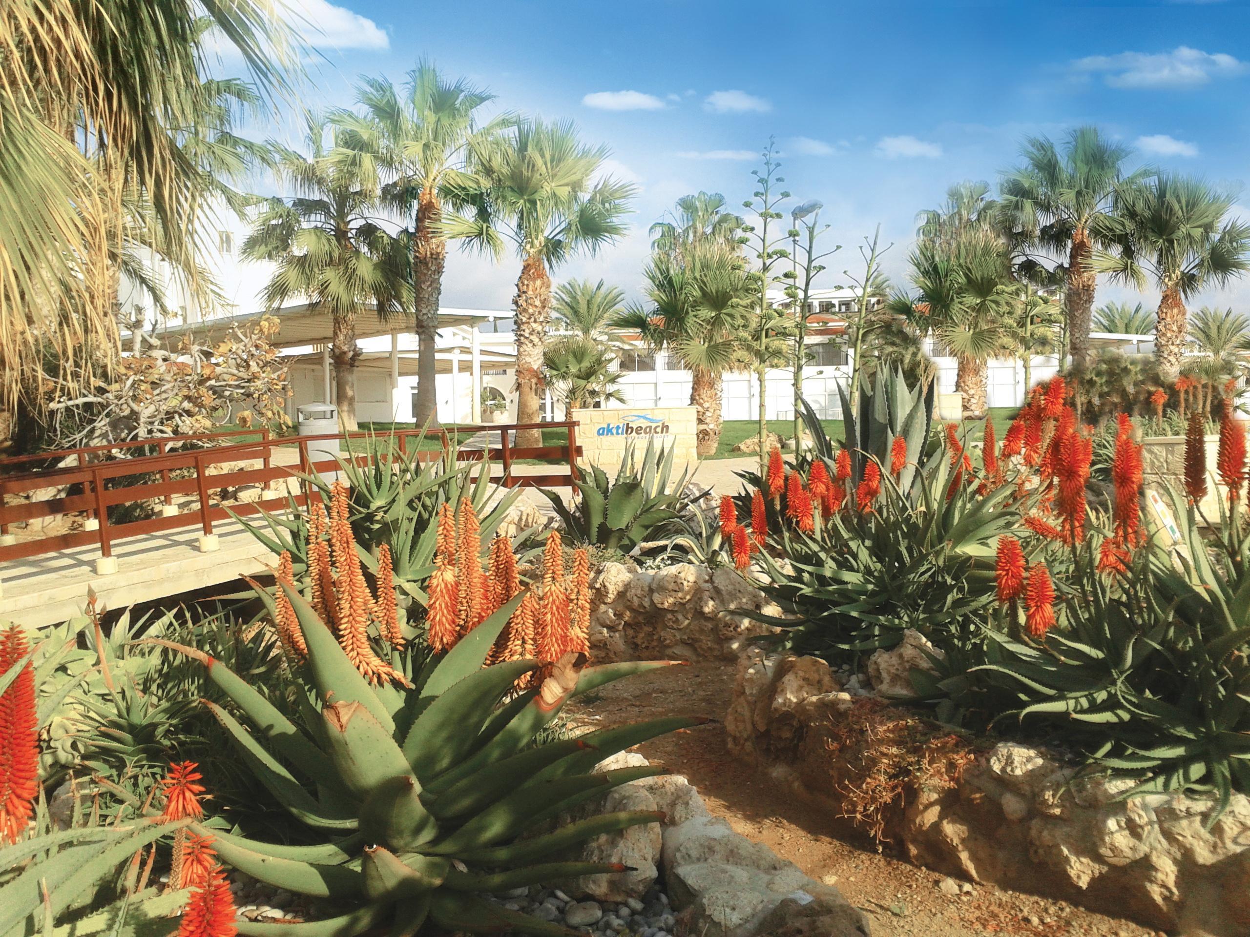 Akti Beach Hotel & Village Resort Klorakas Eksteriør bilde